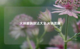 火锅脆藕做法大全,火锅莲藕