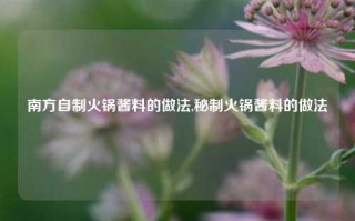 南方自制火锅酱料的做法,秘制火锅酱料的做法