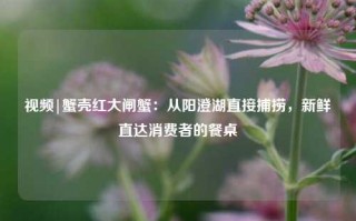 视频|蟹壳红大闸蟹：从阳澄湖直接捕捞，新鲜直达消费者的餐桌