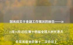 国务院关于金融工作情况的报告——2024年11月5日在第十四届全国人民代表大会常务委员会第十二次会议上