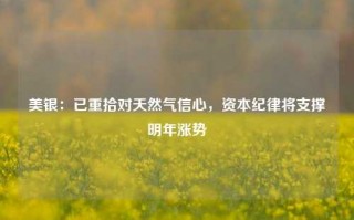 美银：已重拾对天然气信心，资本纪律将支撑明年涨势