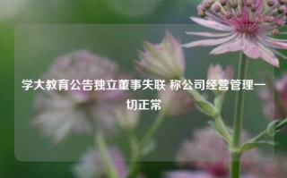 学大教育公告独立董事失联 称公司经营管理一切正常