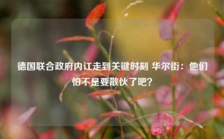 德国联合政府内讧走到关键时刻 华尔街：他们怕不是要散伙了吧？