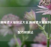 麻辣烫火锅做法大全,麻辣烫火锅底料配方和做法