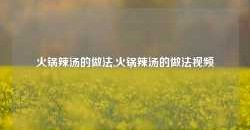 火锅辣汤的做法,火锅辣汤的做法视频