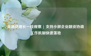 金融稳增长一线观察 | 支持小微企业融资协调工作机制快速落地