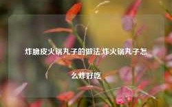 炸脆皮火锅丸子的做法,炸火锅丸子怎么炸好吃