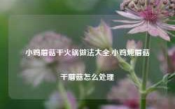 小鸡蘑菇干火锅做法大全,小鸡炖蘑菇干蘑菇怎么处理