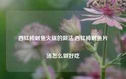 西红柿财鱼火锅的做法,西红柿财鱼片汤怎么做好吃