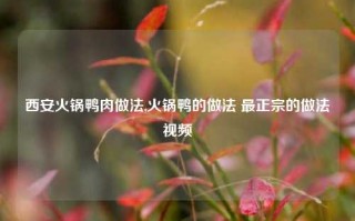 西安火锅鸭肉做法,火锅鸭的做法 最正宗的做法视频