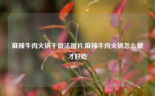 麻辣牛肉火锅干做法图片,麻辣牛肉火锅怎么做才好吃