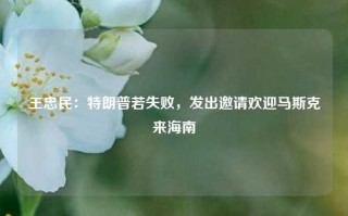 王忠民：特朗普若失败，发出邀请欢迎马斯克来海南