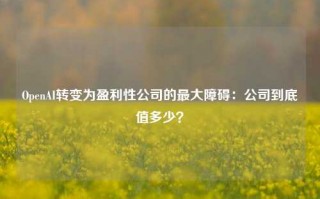 OpenAI转变为盈利性公司的最大障碍：公司到底值多少？