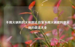 不用火锅料的火锅做法,在家不用火锅底料做火锅的做法大全