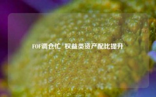 FOF调仓忙  权益类资产配比提升