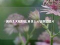 高县土火锅做法,高县土火锅做法图片