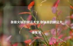 杂菜火锅的做法大全,杂锅菜的做法大全家常