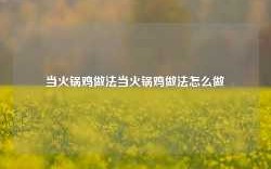 当火锅鸡做法当火锅鸡做法怎么做