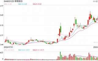 第三方支付业务盈利承压  翠微股份欲加快重点商业调改