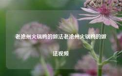 老沧州火锅鸡的做法老沧州火锅鸡的做法视频