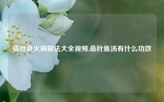 桑叶鱼火锅做法大全视频,桑叶鱼汤有什么功效