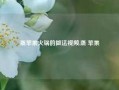 蒸苹果火锅的做法视频,蒸 苹果