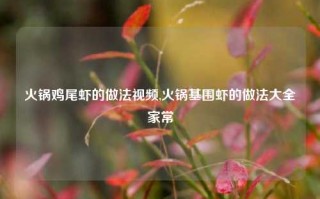 火锅鸡尾虾的做法视频,火锅基围虾的做法大全家常