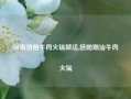 河南信阳牛肉火锅做法,信阳潮汕牛肉火锅