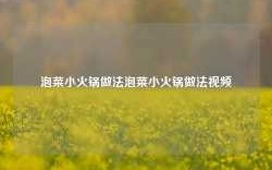 泡菜小火锅做法泡菜小火锅做法视频