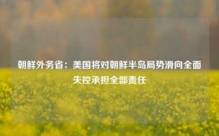 朝鲜外务省：美国将对朝鲜半岛局势滑向全面失控承担全部责任