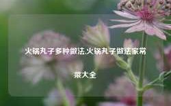 火锅丸子多种做法,火锅丸子做法家常菜大全