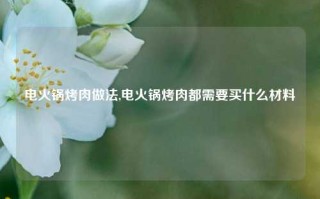 电火锅烤肉做法,电火锅烤肉都需要买什么材料