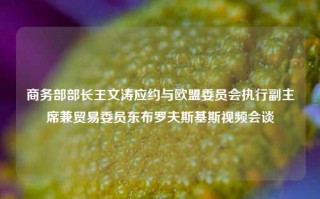 商务部部长王文涛应约与欧盟委员会执行副主席兼贸易委员东布罗夫斯基斯视频会谈