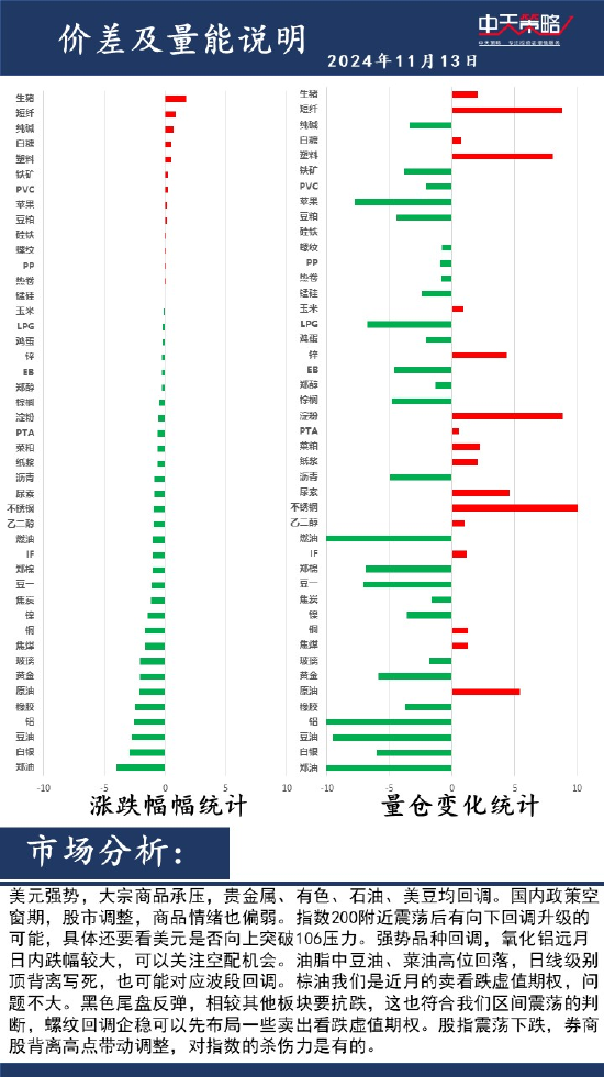 中天策略:11月13日市场分析-第2张图片-火锅网