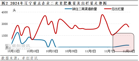 卓创资讯：16元线刺激二育补栏情绪？辽宁生猪市场行情究竟如何-第4张图片-火锅网