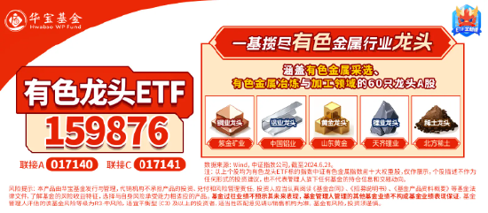 稀土+锂业股联袂狂飙，有色龙头ETF（159876）盘中上探1．63%，有研新材连收5个涨停-第3张图片-火锅网