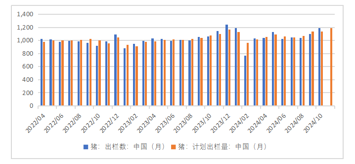 生猪：如何看待11月下半月行情？-第9张图片-火锅网