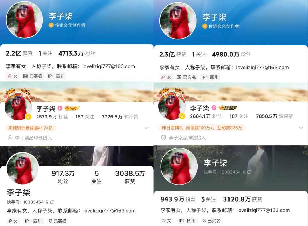 李子柒，一夜涨粉380万-第3张图片-火锅网