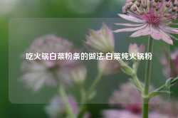 吃火锅白菜粉条的做法,白菜炖火锅粉-第1张图片-火锅网