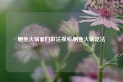 鲍鱼火锅面的做法视频,鲍鱼火锅吃法-第1张图片-火锅网