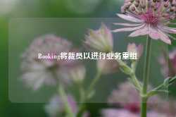 Booking将裁员以进行业务重组-第1张图片-火锅网