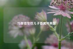 马斯克变性儿子要离开美国-第1张图片-火锅网