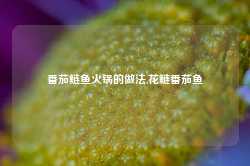 番茄鲢鱼火锅的做法,花鲢番茄鱼-第1张图片-火锅网