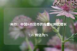 央行：中国10月货币供应量M2同比增长7.5% 预估为7%-第1张图片-火锅网