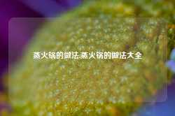 蒸火锅的做法,蒸火锅的做法大全-第1张图片-火锅网