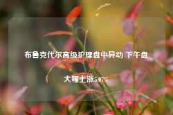 布鲁克代尔高级护理盘中异动 下午盘大幅上涨5.07%-第1张图片-火锅网