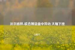 沃尔格林-联合博姿盘中异动 大幅下挫5.01%-第1张图片-火锅网