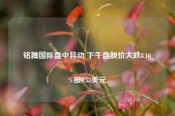 铭腾国际盘中异动 下午盘股价大跌8.16%报6.53美元-第1张图片-火锅网