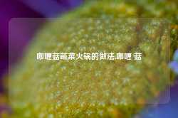 咖喱菇蔬菜火锅的做法,咖喱 菇-第1张图片-火锅网