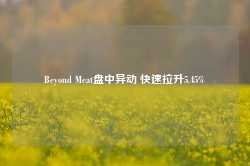 Beyond Meat盘中异动 快速拉升5.45%-第1张图片-火锅网